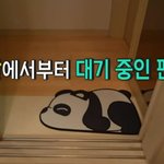 <b>강바</b>오 덕업일치 ㅋㅋㅋㅋㅋㅋ