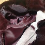 크린토*아 막나가는 블랙<b>라벨</b>