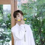 방탄 지민 <b>달방</b> 104화 현장포토