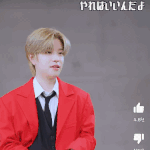 [스키즈] 댕냥 진짜 ㅋㅋㅋㅋ