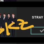 [스키즈] 우리 투표(중요)