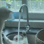 [<b>TXT</b>] 의외로