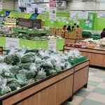 [잘챙겨먹기] 솔로남의 요리생활 - 번외편 장보기1편