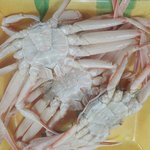 남편이 <b>대게</b> 사줬어요