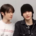 이 둘로 <b>호모</b>하면 누가 왼같음