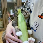 6.25때 우리 할머니네는 평화로웠대