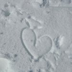 올해 <b>위시</b>리스트..