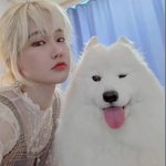 [댓글부탁해] 최근 논란인 죽은 반려견 복제한 싸패 <b>견주</b> 유튜버ㄷㄷ