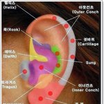 [댓글부탁해] 귀 뚫을 <b>위치</b> 추천<b>점</b>!!!!