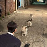 100프로 <b>확률</b>로 1억 받기vs