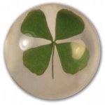 [댓글부탁해] <b>웅</b><b>니</b> 키스잘하는법 알려주세여