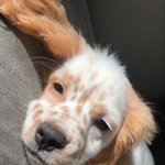 너무 <b>나른</b>하고 졸려요.jpg