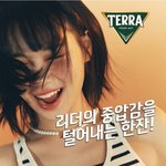 [모두드루와] 르세라핌 단체 맥주 광고 ㄷㄷ