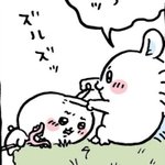 [댓글부탁해] 수능 망한 <b>사람</b>들아 너네 뭐<b>함</b>?