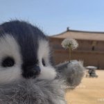 [드루와] 하 생일빠른거 단점