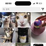 나인스타<b>추천</b><b>피드</b> 왜이럼ㅋㅋ