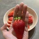 귀 뚫은 남돌 ㅈㄴ개좋음
