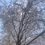 [댓글부탁해] <b>봄</b>이 <b>안</b>왔으면 좋겠어