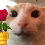 나 오늘 귓볼에 피어싱 처음 뚫었는데 제발 도와줘ㅠ