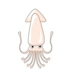 이 <b>오징어</b>야