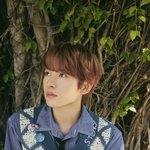 [모두드루와] 엔시티위시 <b>유우</b>시 티저