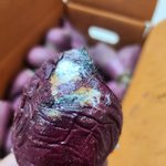 [일상] 상계동 우리농산물<b>마트</b> 가지마세요