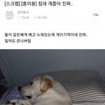 [댓글부탁해] <b>오빠</b> 3년 넘게 사귄 <b>여친</b>이랑 헤어졌다는데