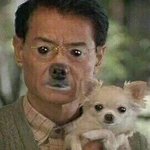 <b>치와와</b>