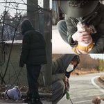 [<b>방탄소년단</b>] 미키야 산책가자