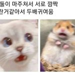 [19] 짝녀가 <b>몸선</b>이 너무 예쁜데