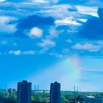 <b>단풍국</b>에서 사는 이야기