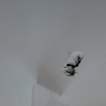 [이것좀봐줘] 13시간 초인종 사건의 유가족입니다. 데이트 폭력...