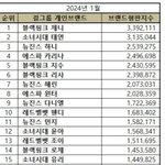 2024 1월 걸그룹 개인 브랜드<b>평판</b>..