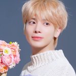 [TXT] 태현이네 <b>꽃집</b>은 분홍장미네