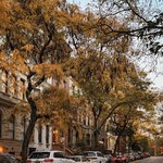 [드루와] <b>학종</b> 준비하는 고딩들아 강추한다