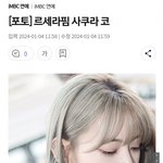 기사<b>제목</b>이 사쿠라 코