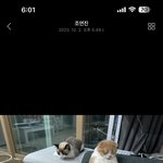 [비트이더] 다시 또 <b>주말</b>은