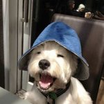 [드루와] 노래 어플 써본 것들 비교 (내가 참고용)