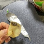 [댓글부탁해] 이거 <b>포카</b>칩 썩은거임??