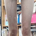 <b>사진</b> 펑<b>예</b>)몇키로 같아 보여..?