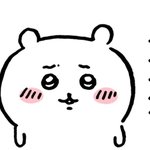 다이어트인데 치밥 갠차늠?