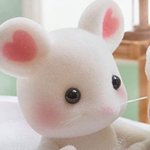 니네 <b>개학</b> 언제임?ㅈㅂㅈㅂ