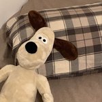 ㅁㅌ해서 15kg뺌