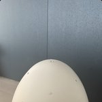 제니가 젠몬,<b>탬버린</b>즈에서 받은 생일선물 퀄리티