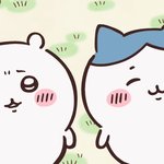 <b>요요</b> 30키로 ..