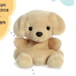 [드루와] <b>강쥐</b> 인형 골라주라