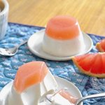말랑말랑 탱글탱글 <b>젤리</b> 푸딩