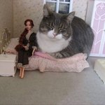 얘들아 <b>갓</b><b>생</b>의 첫걸음 이야기해보자