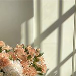 [타로] 최근의 타로<b>리딩</b>