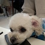 너네라면 여행 갈거야 말거야
